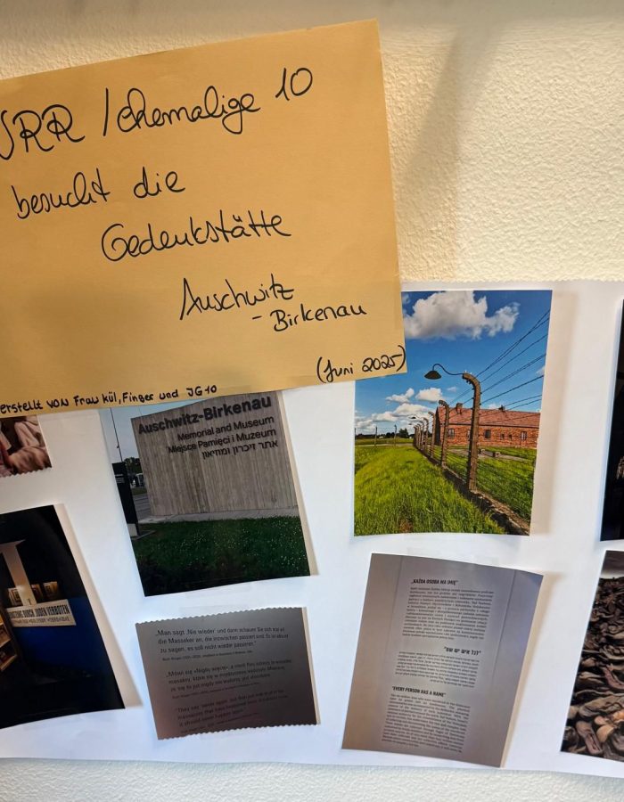 WhatsApp Image 2025-12-17 at 11.42.37 (1) WhatsApp Image 2025-12-17 at 11.42.37 (1)