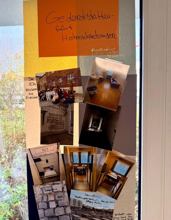 WhatsApp Image 2025-12-17 at 11.42.38 (3) WhatsApp Image 2025-12-17 at 11.42.38 (3)